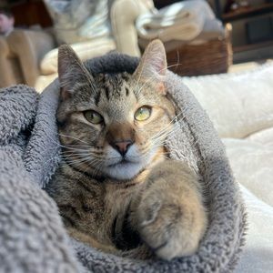 Meet your Posher, Nevaeh